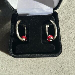 Brighton Charm Earrings with Charm